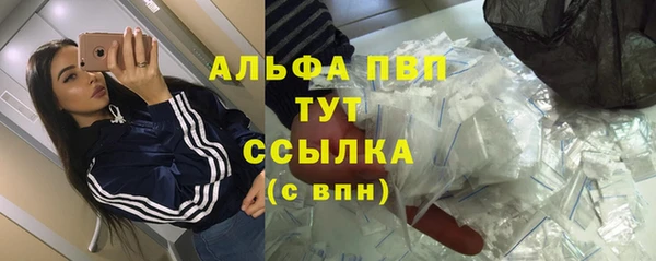 хмурый Инсар