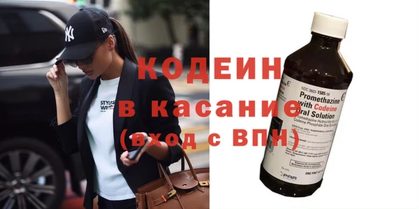 хмурый Инсар