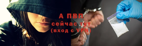 хмурый Инсар