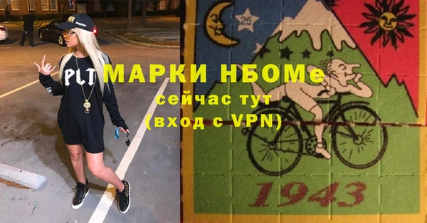 хмурый Инсар