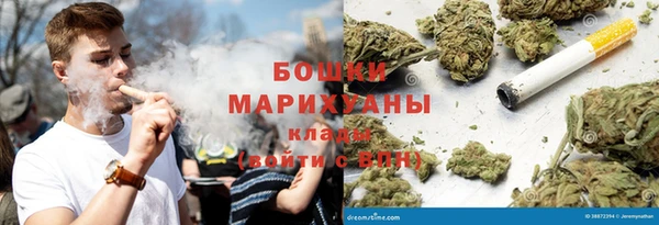 хмурый Инсар