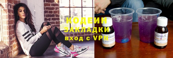 хмурый Инсар
