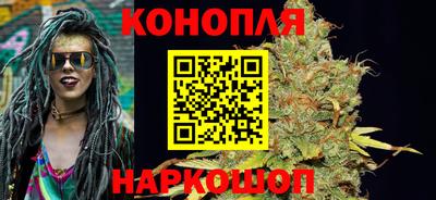 крисы Заводоуковск