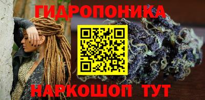 бошки Дубна
