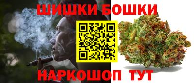 бошки Дубна