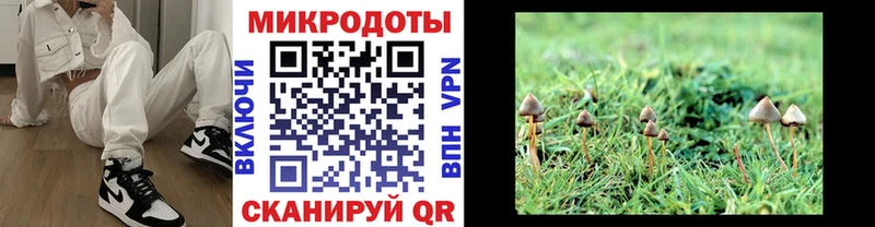 купить   Можайск  Галлюциногенные грибы мухоморы 
