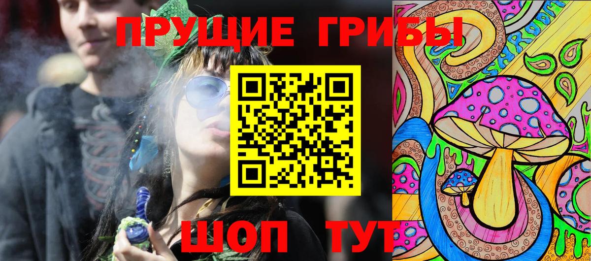 Псилоцибиновые грибы Psilocybe  Можайск 