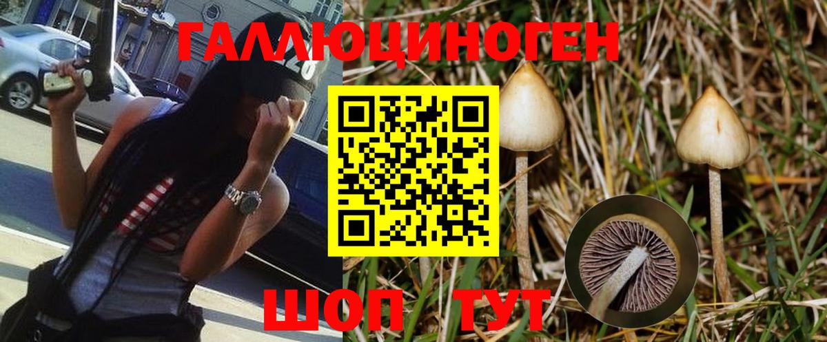 Галлюциногенные грибы Magic Shrooms Можайск