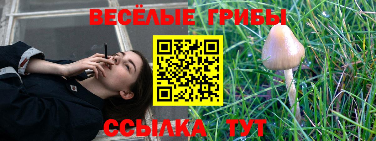 цена наркотик  Вход с VPN  Можайск  Галлюциногенные грибы ЛСД 